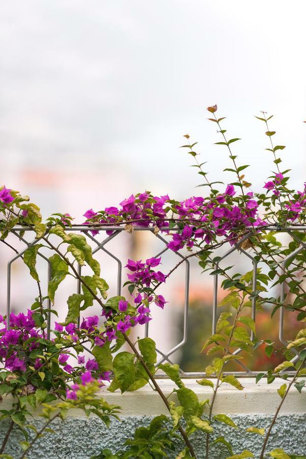 Belvedere Boutique - Adults Only Funchal  Exterior photo